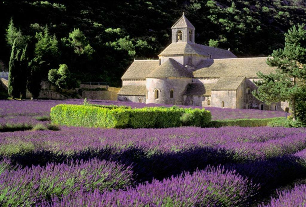 Au Bastidon De Gordes Vila Exterior foto